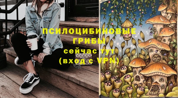таблы Алексеевка