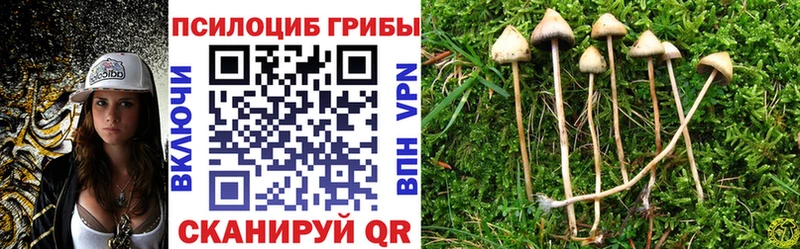 Псилоцибиновые грибы мухоморы  MEGA онион  Можга 