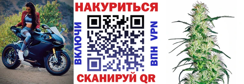 купить закладку Можга Бошки Шишки THC 21%
